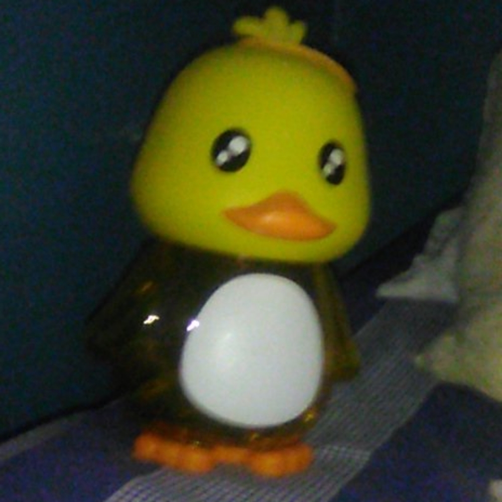 Ducky Bank